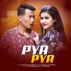 About Pya Pya Song