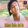 About Bishnu Kotha Bol Re Song