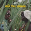 About MTH- Ou tu veux Song