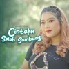 About Cintaku Salah Sambung Song