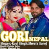 About Gori Nepal Song