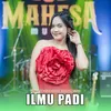 About Ilmu Padi Song