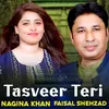 About Tasveer Teri Song