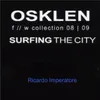 About Surfing in the City Song