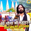 About Mere Goga ji Maharaj Hath Jod Tere Dwar Aaya Song