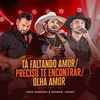 About Tá Faltando Amor / Preciso Te Encontrar / Olha Amor Song