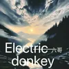 Electric donkey