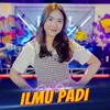 About Ilmu Padi Song
