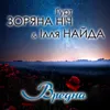 About Вредна Song