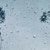 About 雨中的... Song