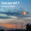 About Can you tell ? Song