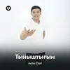 About Тыныштығым Song