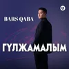 About Гүлжамалым Song