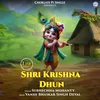 About Shri Krishna Dhun Song