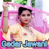 Gadar Jawani