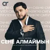 About Сене алмаймын Song