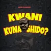 About Kwani Kunashido? Song