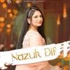 About Nazuk Dil Song