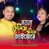 About Moyna Heliya Duliya Jaiyo Re Song