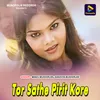 About Tor Sathe Pirit Kore Song