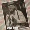 About Waya waya Song