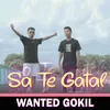 About Sa Te Gatal Song