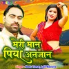 About Meri Man Piya Anjan Song