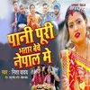 About Pani Puri Bhatar Beche Nepal Me Song