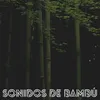 Sonidos del Bosque de Bambú