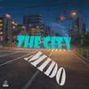 About The City Song