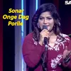 About Sonar Onge Dag Porile Song