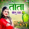 About Tota Bol Raha. Song