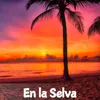 Amanecer en la Selva