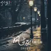 About 风雪压我两三年 Song