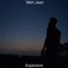 About Meri Jaan Song