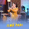 Ilmu Padi