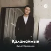 About Қаламаймын Song