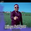 About Mileya Nai Pyaar Song