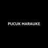 PUCUK MARAUKE