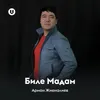 About Биле Мадам Song