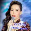 Lệ Đắng Tình Cay