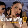 About Culpa de los Dos Song