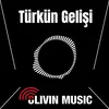 About Türkün Gelişi Song