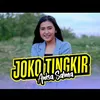 About Joko Tingkir Song