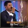 About Malli mergimtarit Song