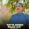 About Patta Honda Naag Hai Song