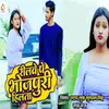 About Reelwe Pe Bhojpuri Hilata Song