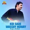 Koi Sade Wassay Howay