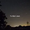 About Tu Meri Jaan Song