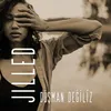 About Düşman Değiliz Song